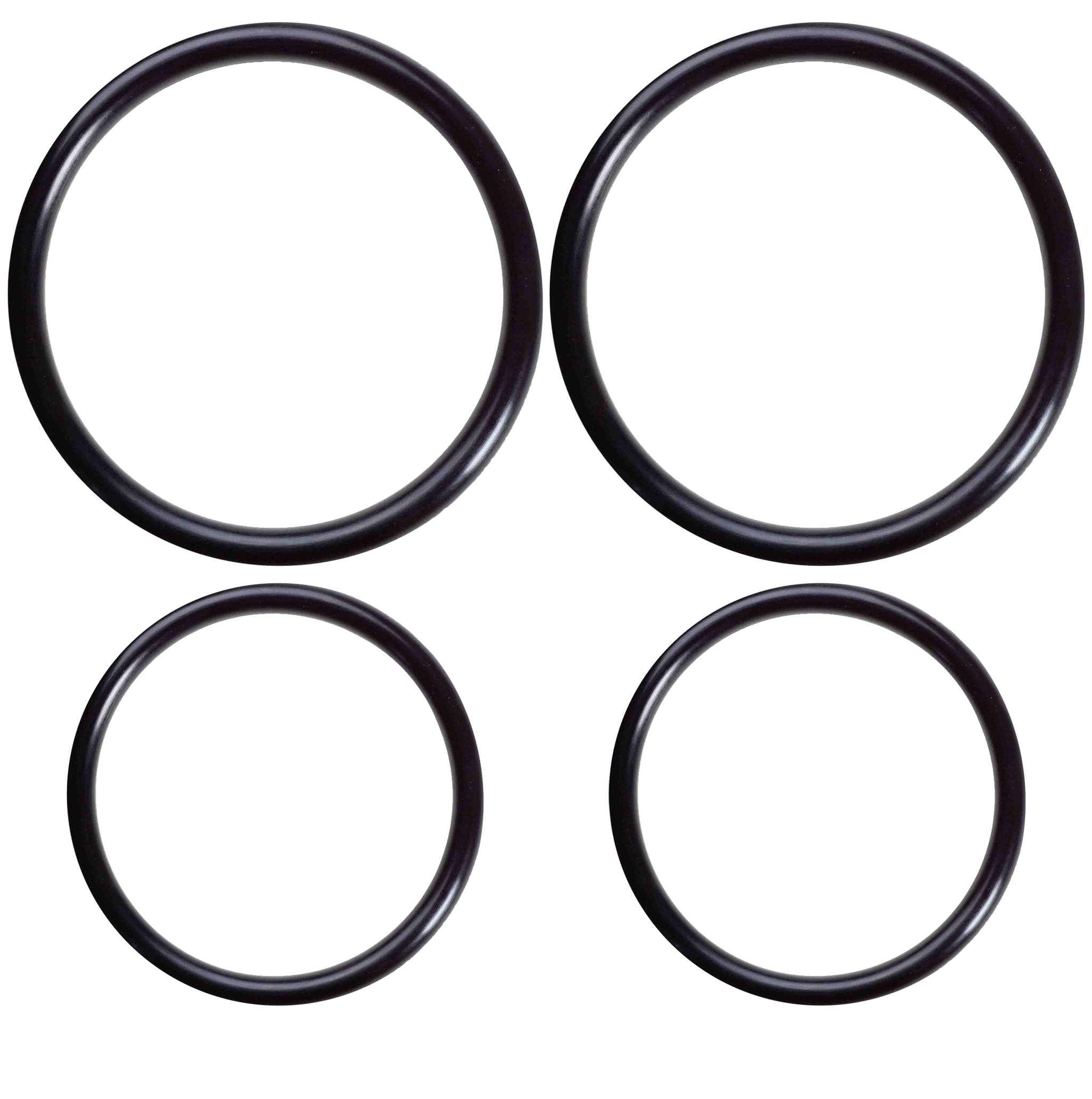 Stainless Steel Membrane Housing O Rings